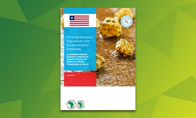 Financial Inclusion Framework & Implementation