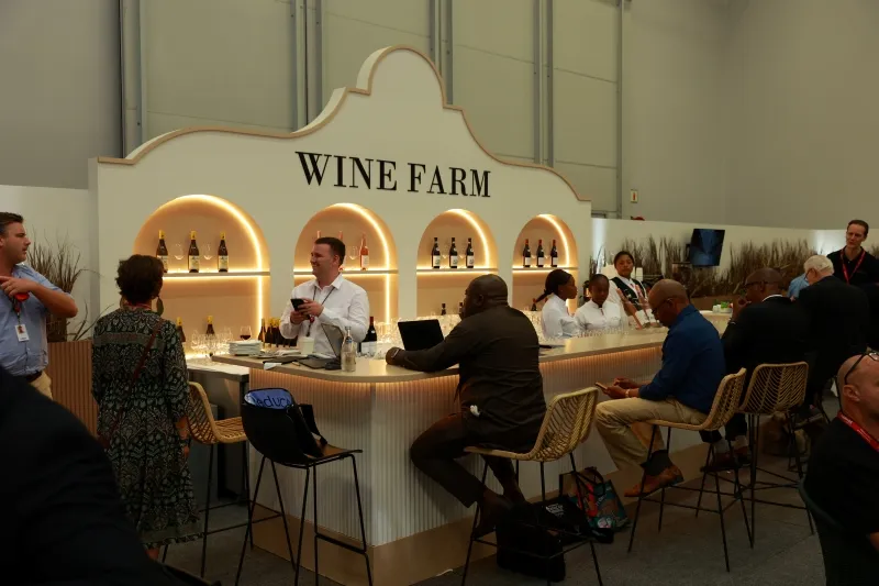 Delegates at the Wine Farm networking area at Mining Indaba